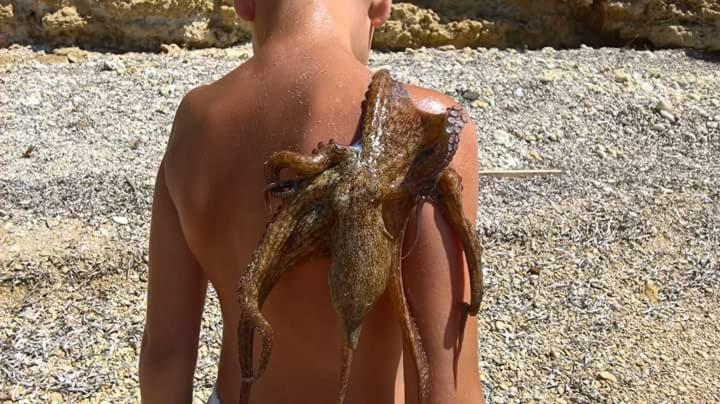דירות Lido di Noto Nemo Mare מראה חיצוני תמונה